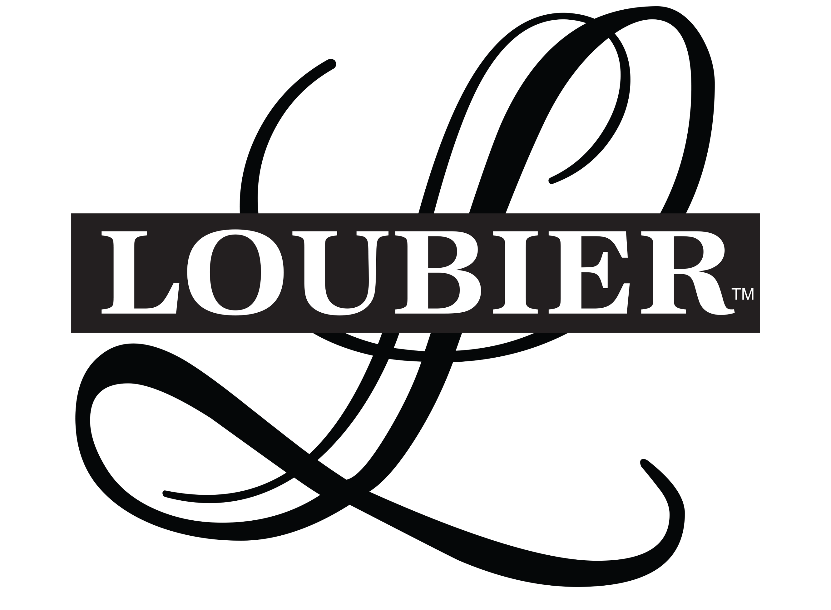 https://loubiergourmet.com/cdn/shop/files/Loubier_Black_Logo_Transparent_2661x.png?v=1667588782